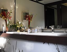 Avanza Soluciones Inmediatas baño con grifo